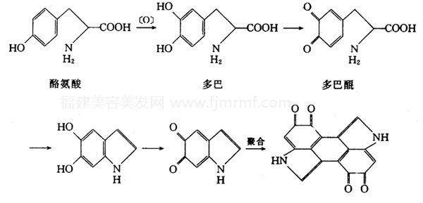 &#20061;&#28216;&#28216;&#25103;&#23448;&#32593;&#45;&#20061;&#28216;&#65288;&#20013;&#22269;&#65289;