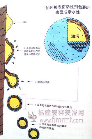 表(biǎo)面活性剂(jì)的(de)去污原理 表(biǎo)面活性剂的去污原(yuán)理